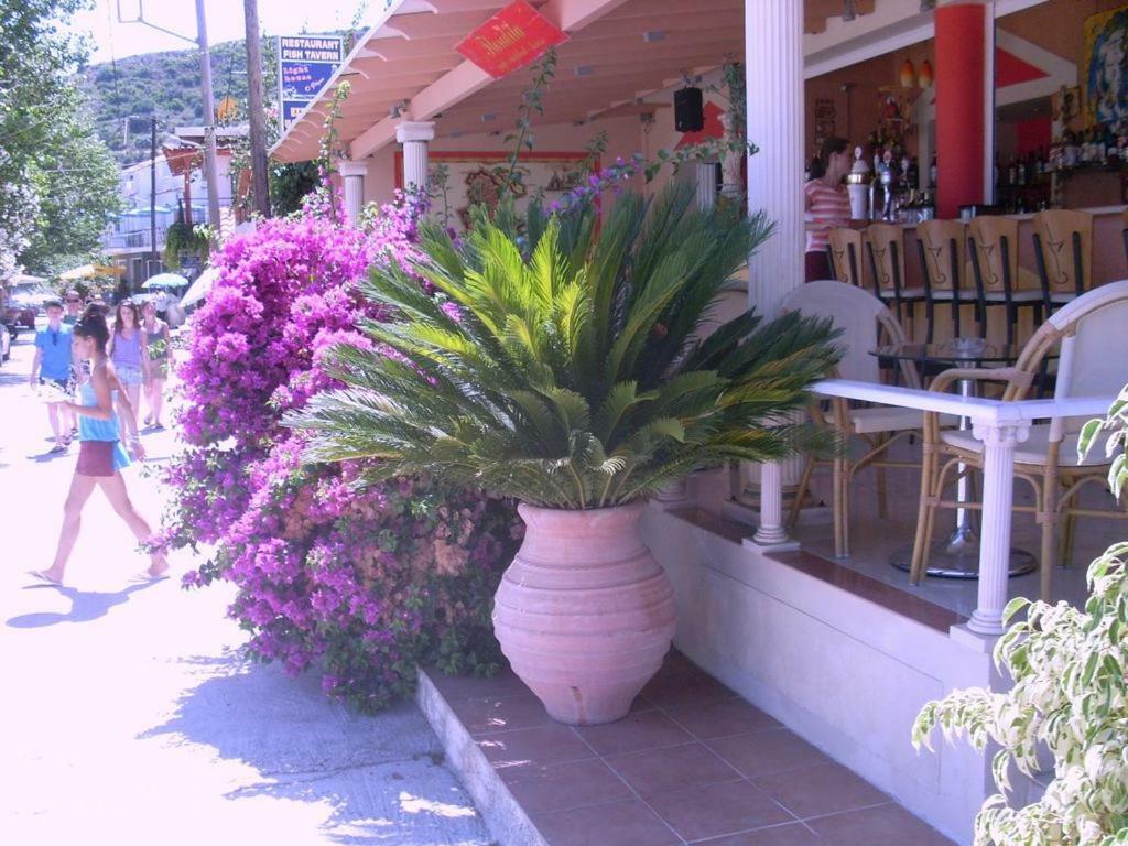 Villa Amelia Metaxáta 外观 照片